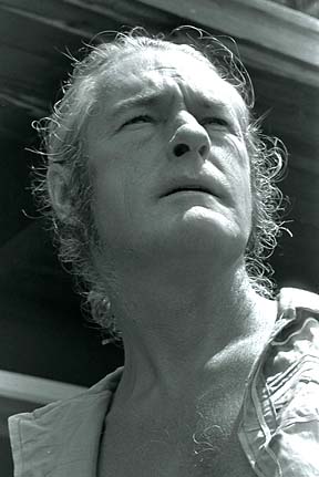 Picture of Timothy Leary