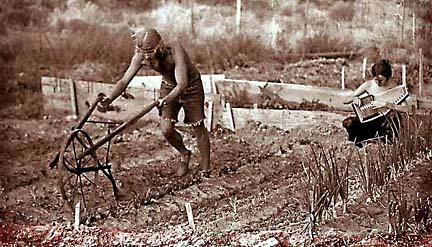 Picture of New Mexico Farmers