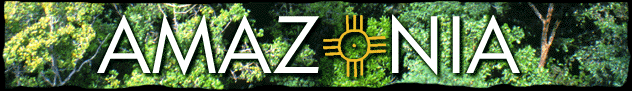 Amazonia On-Life