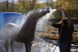 This feels so good, I just love showers.