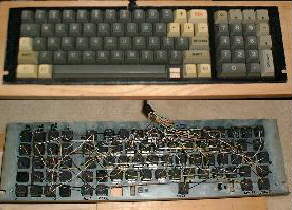 click for larger view of back