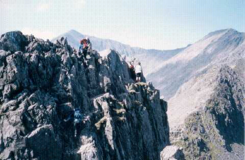cribgoch
