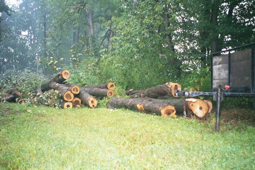 More logs