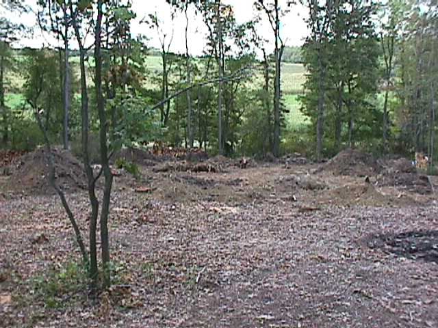 Stump picture #1