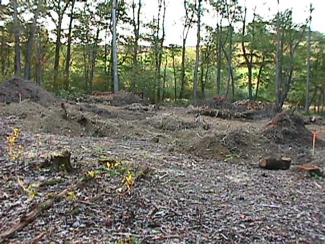 Stumps