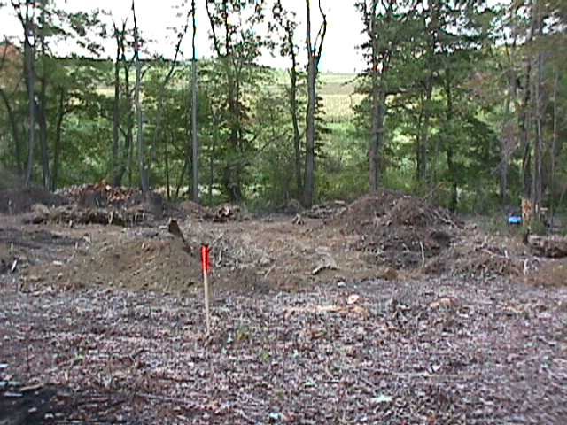 More stumps