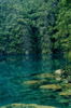 Semi-freshwater lake: Coron, Palawan