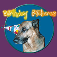 The Birthday Pictures!
