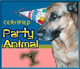 Party Gift