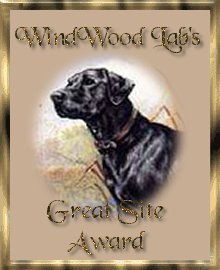 Windwood Labs Great Site Award 5/02 - Thank You Breeze for the gorgeous award!