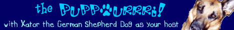 Banner 1