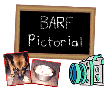 BARF Pictorial