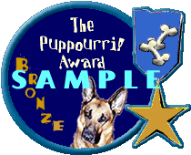 Website Excellence Award, Bronze