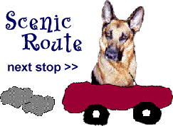 The Scenic Route - See everything there is to see!