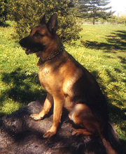 Xator