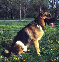 Xator