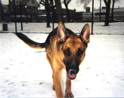 Snow on your nose!