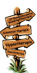 De therapie wijzer