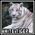 Majestic // white tiger fanlisting