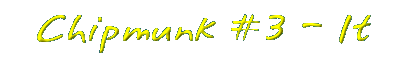 Chipmunk #3 - It