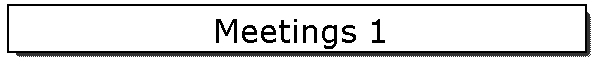 Meetings 1