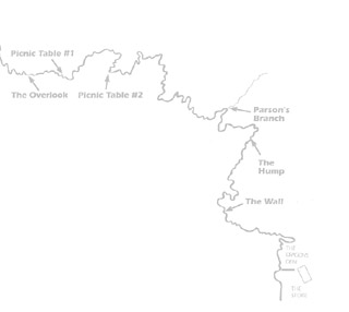 dg.jpg (12266 bytes)