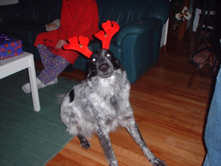 rudolph.JPG (31796 bytes)