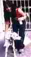Click to enlarge the picture 2 of 4 with Happy the dog
