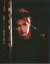 Brendan Fehr