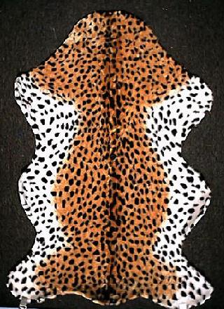 Cheetah
