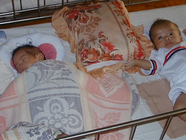 orphan2.jpg (56493 bytes)