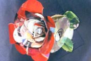 "Magazine Paper & Old CDs"