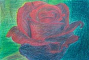 "Untitled"
