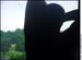 WindowSilhouette