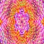 Funky Spirograph Floors
