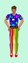 Peacock Clown Outfit