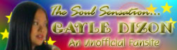 The Soul Sensation Banner