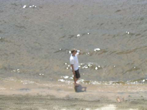 Riley on the Beach