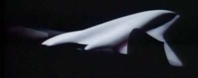 Spaceplane