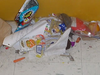 Lunchtime Leftovers