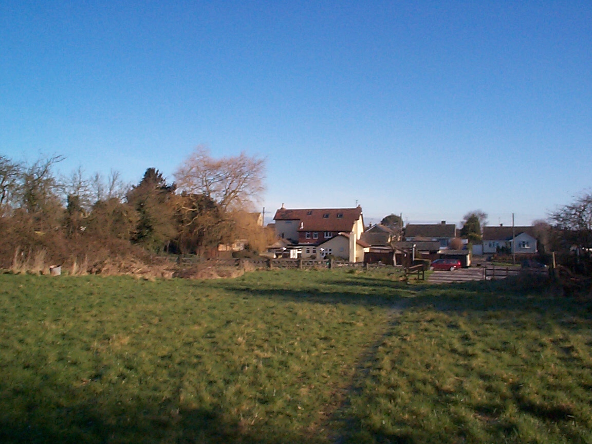 view from field