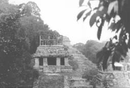 more of palenque