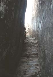 The Great Zimbabwe