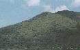 [ Mt. Konocti ]