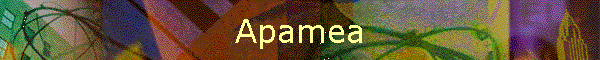 Apamea