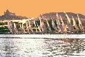 pfelucca.jpg (6182 byte)