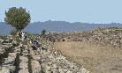 ptur4.jpg (5773 byte)