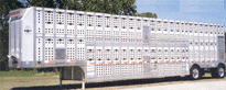 Livestock