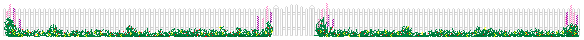 fence/gate