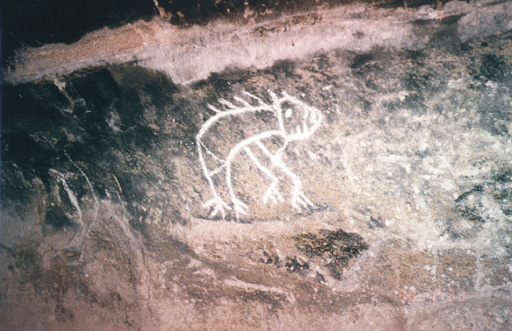 Animal drawing